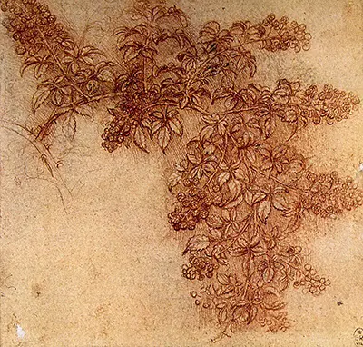 Moras Leonardo da Vinci